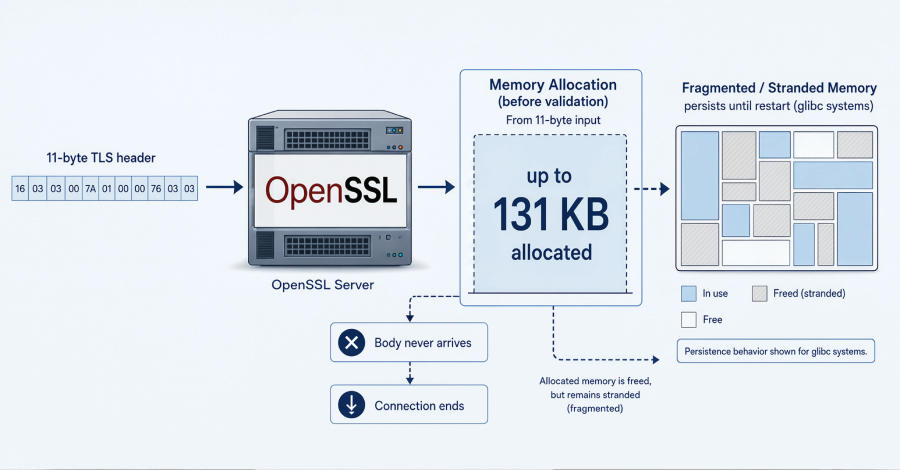 Hình minh họa OpenSSL HollowByte và rủi ro cạn kiệt bộ nhớ TLS